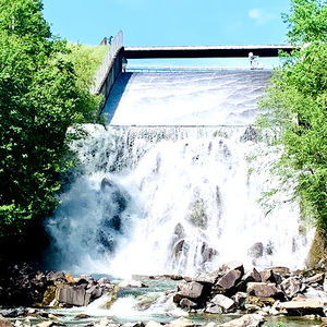 Meet your Posher, Cheyenne